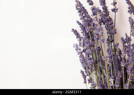 Getrocknete lila Lavendelblüten auf einem schlichten weißen Hintergrund Stockfoto
