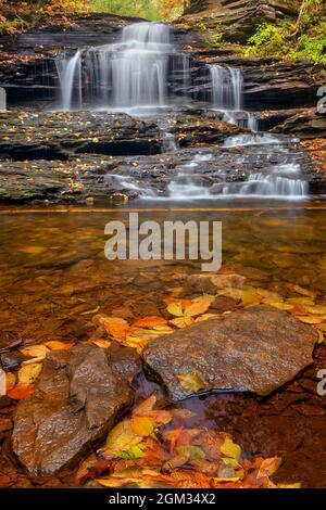 Onondaga Falls, umgeben von den Farben des Herbstlaubes. Dies ist einer von 22 benannten Wasserfällen im Glen Leigh Trail im Ricketts Glen State Park in Benton, Stockfoto