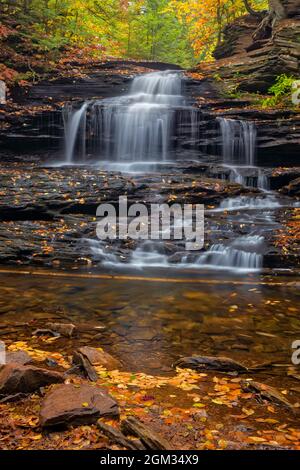 Onondaga Falls, umgeben von den Farben des Herbstlaubes. Dies ist einer von 22 benannten Wasserfällen im Glen Leigh Trail im Ricketts Glen State Park in Benton, Stockfoto