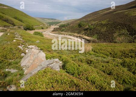 Langden Valley, Forest of Bowland, Lancashire, Großbritannien Stockfoto