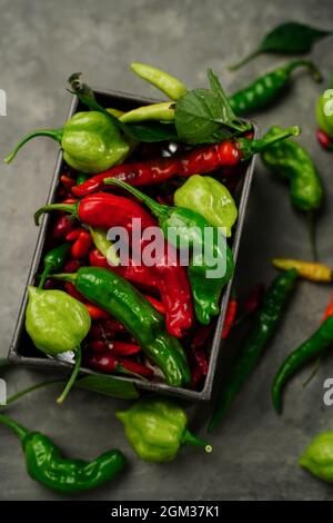 Verschiedene Arten von selbst angebauten Chilis oder Chilischoten Hintergrund, selektiver Fokus Stockfoto