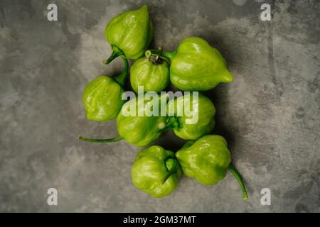 Hausgemachte grüne Habanero-Chilischoten, selektiver Fokus Stockfoto