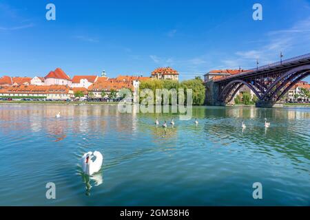 Glavni alt am meisten in Maribor mit einem schönen Blick auf die Altstadt Ende verliehen Bezirk Sommertag mit Schwäne . Stockfoto