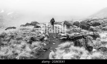 Annapurna, Nepal - 09. November 2018: Tourist auf dem Weg zum Annapurna Basislager, Himalaya, Nepal. Stockfoto