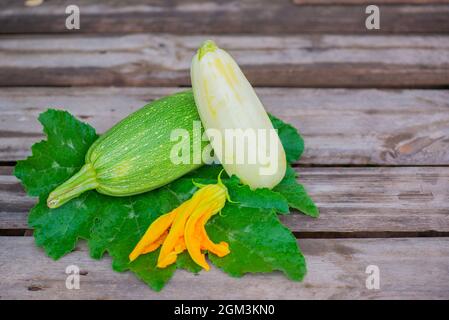 Weiße und grüne Zucchini liegt auf einem grünen Blatt Stockfoto