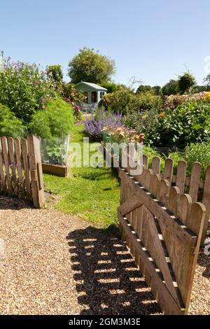 Ein Sommergarten Stockfoto