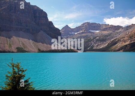Das türkisfarbene Wasser des Bow Lake auf dem Icefield Parkway in den kanadischen Rockies Stockfoto