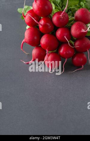 Rettich Haufen auf grauem Stein Hintergrund. Speicherplatz kopieren Stockfoto