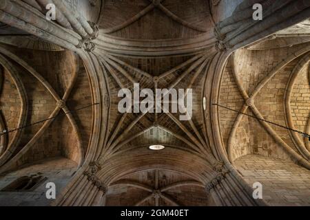 Detail des Gewölbes der Kathedrale von Guarda (SE da Guarda) in Guarda, Portugal. Stockfoto