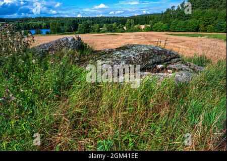 Felsbrocken in Wiese, Feld, Wald und Teich am Horizont, in der Nähe des Dorfes Blato, Tschechische republik. Typische Landschaft in der Region „Tschechische Kanada“. Stockfoto