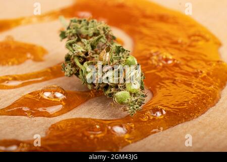 Marihuanaknospe und starker Extrakt aus goldenem Cannabiswachs mit hohem thc-Gehalt aus der Nähe. Stockfoto