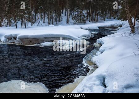 Stürmischer, nicht-eisiger Fluss in einem winterverschneiten Wald. Winterlandschaft, Karelien Stockfoto