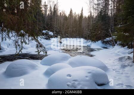 Schneeverwehungen am Ufer eines nicht-eisigen Flusses in einem winterverschneiten Wald. Winterlandschaft, Karelien Stockfoto