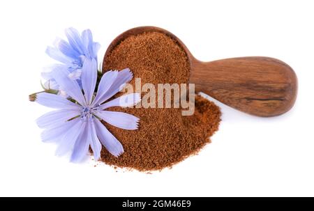 Zichorien-Pulver und Blume in Holzlöffel, isoliert auf weißem Hintergrund. Cichorium intybus. Stockfoto