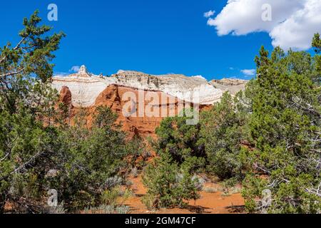 Hoch aufragende monolithische Türme oder Kamine ragen vom Talboden hoch oder ragen aus den Sandsteinfelsen, die Kodachrome Basin umgeben und inspirieren Stockfoto