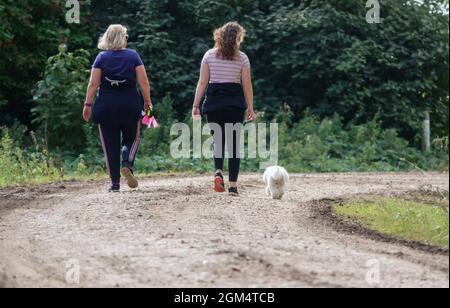 Mutter und Tochter, die mit dem Familienhund, einem weißen Bichon Frise (Canis lupus familiaris), auf einer Steinbahn in Wiltshire UK spazieren gehen Stockfoto