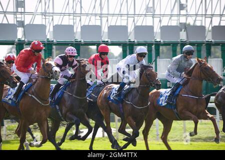 Jockeys Tony Hamilton, Cam Hardie, Shane Grey und Daniel Tudhope galoppieren zu Beginn eines Rennens auf der York Racecourse. Stockfoto