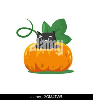 Niedliche Halloween schwarze Katze im Inneren großen Kürbis. Isolierte Vektordarstellung. Entzückender Tiercharakter Stock Vektor