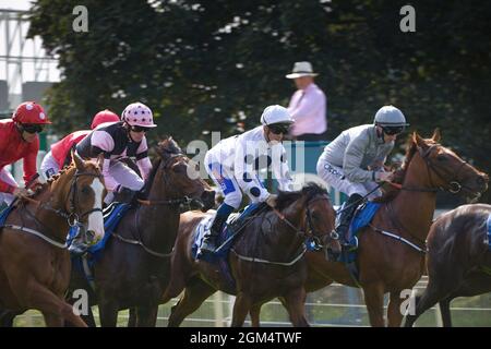 Jockeys Tony Hamilton, Cam Hardie, Shane Grey und Daniel Tudhope galoppieren zu Beginn eines Rennens auf der York Racecourse. Stockfoto