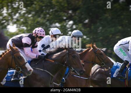 Jockeys Tony Hamilton, Cam Hardie, Shane Grey und Daniel Tudhope galoppieren zu Beginn eines Rennens auf der York Racecourse. Stockfoto