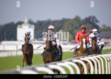 Eine Gruppe von Jockeys, darunter Cam Hardie, Tony Hamilton und Shane Grey, die vor dem ersten Rennen des Tages in York Racec in Richtung Starttore fahren Stockfoto