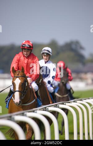 Eine Gruppe von Jockeys, darunter Cam Hardie, Tony Hamilton und Shane Grey, die vor dem ersten Rennen des Tages in York Racec in Richtung Starttore fahren Stockfoto