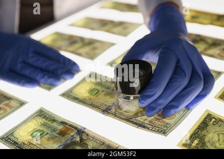 Mann in Gummihandschuhen, der die Echtheit von us-Dollar-Scheinen aus der Nähe bestätigt Stockfoto