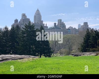 Die Schönheit der grünen Natur im Frühling im Central Park in New York City Stockfoto