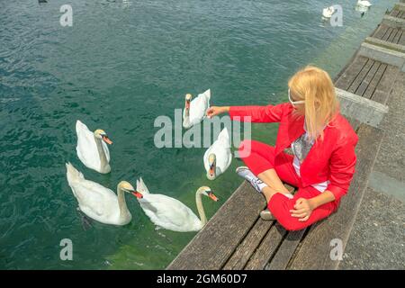 Zürichsee in der Zürcher Stadt mit blonden Touristen mit weißen Schwanen im türkisfarbenen Wasser. Jachthafen am See mit Menschen, die sich in der Natur und in der Wildnis ausruhen Stockfoto