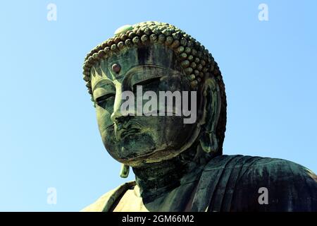 Die große Buddha-Statue des Kotoku-in-Schreines in Kamakura Stockfoto