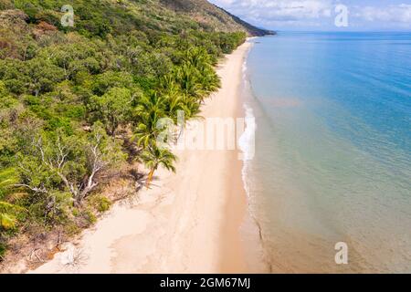 Luftaufnahme des Ellis Beach, der zwischen Cairns und Port Douglas im tropischen Norden von Queensland liegt Stockfoto