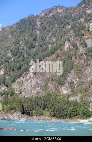 Ein schnell fließender breiter und voll fließender Gebirgsfluss. Große Felsen ragen aus dem Wasser. Großer Gebirgsfluss Katun, türkisfarben, im Altai-Gebirge Stockfoto