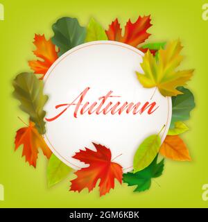 Realistische Herbst Ahorn und Eiche Blätter auf farbigem Hintergrund mit Inschrift Herbst. Herbstbanner Vorlage, Poster, Postkartendesign. Vektorgrafik Stock Vektor