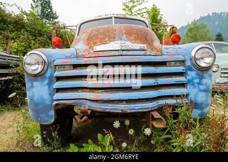 Der Kühlergrill eines blauen 1949 Chevy 6400 LKW in Idaho, USA Stockfoto