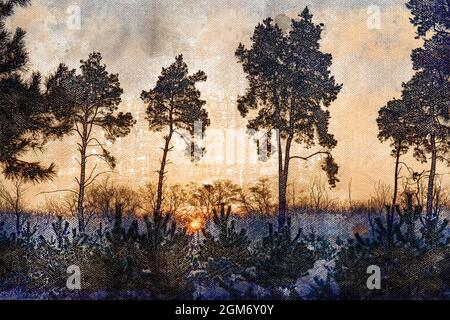 Sonnenuntergang in einem Winterkiefernwald. Die orange Sonne untergeht über t Stockfoto