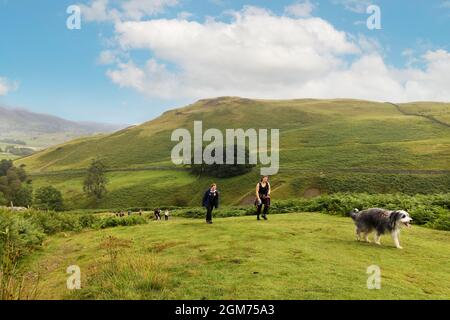 Hundespaziergängen im Lake District - Menschen, die mit dem Hund auf dem englischen Land spazieren, Walla Crag, Keswick, Lake District National Park, Cumbria England Großbritannien Stockfoto