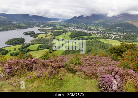 Der Lake District UK, Landschaft - Derwentwater und die Stadt Keswick im Sommer mit blühendem Heidekraut, von Walla Crag, Cumbria UK aus gesehen Stockfoto