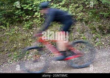 Verschwommenes Bild eines Mannes auf dem Mountainbike auf staubiger Straße während des MTB-Radrennens in Sigulda, Gauja Nationalpark, Lettland Stockfoto