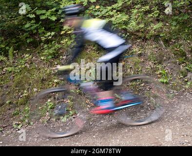 Verschwommenes Bild eines Mannes auf dem Mountainbike auf staubiger Straße während des MTB-Radrennens in Sigulda, Gauja Nationalpark, Lettland Stockfoto