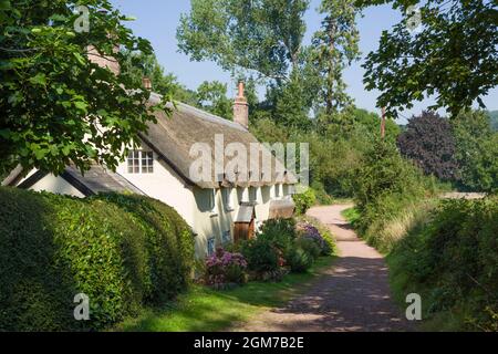 Strohgedeckte Hütten an der Bonniton New Road am Park Gate am Eingang zum Dunster Park. Dunster, Exmoor National Park, Somerset, England. Stockfoto