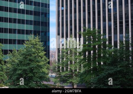 Bäume vor einigen modernen Glasbüros aus der Mitte des Jahrhunderts in Rosslyn, Virginia, in der Nähe von Washington DC. Stockfoto