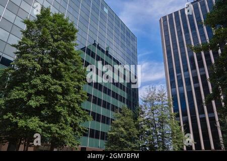 Bäume vor einigen modernen Glasbüros aus der Mitte des Jahrhunderts in Rosslyn, Virginia, in der Nähe von Washington DC. Stockfoto