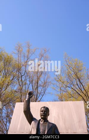 Detail der Bronzestatue des Präsidenten Teddy Roosevelt, Skulptur am National Memorial während der Frühjahrsknospen. Auf Theodore Roosevelt Island in der Nähe von W Stockfoto