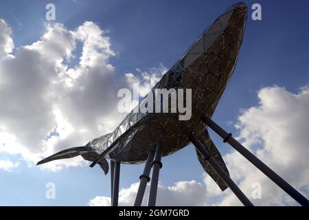 Kiew, Ukraine. September 2021. KIEW, UKRAINE - 16. SEPTEMBER 2021 - Eine einzigartige 12-Meter-Medienskulptur "Kiewer Wal" des Künstlers Valerii Korshunov wird im Expo Center der Ukraine installiert, um den Zustand der Luftverschmutzung mit Hilfe von interaktiven Lichtern zu reflektieren, Kiew, Hauptstadt der Ukraine.Quelle: Ukrinform/Alamy Live News Stockfoto