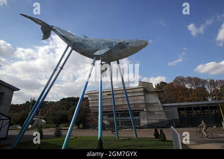 Kiew, Ukraine. September 2021. KIEW, UKRAINE - 16. SEPTEMBER 2021 - Eine einzigartige 12-Meter-Medienskulptur "Kiewer Wal" des Künstlers Valerii Korshunov wird im Expo Center der Ukraine installiert, um den Zustand der Luftverschmutzung mit Hilfe von interaktiven Lichtern zu reflektieren, Kiew, Hauptstadt der Ukraine.Quelle: Ukrinform/Alamy Live News Stockfoto