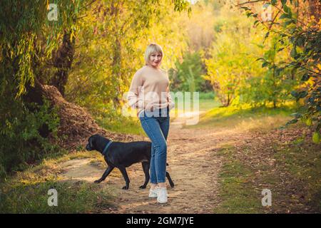 Eine blonde Frau mit einem kurzen Haarschnitt geht in einem Strickpullover und einem großen schwarzen Hunderottweiler durch den Wald. Wandern im Freien im Herbstwald Stockfoto