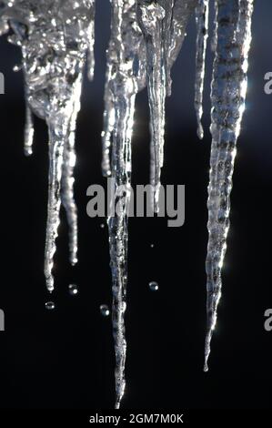 Ickle Eiszapfen schmelzen tropfend Tropfen Winterschnee Stockfoto