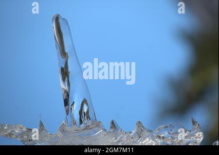 Ickle Eiszapfen schmelzen tropfend Tropfen Winterschnee Stockfoto