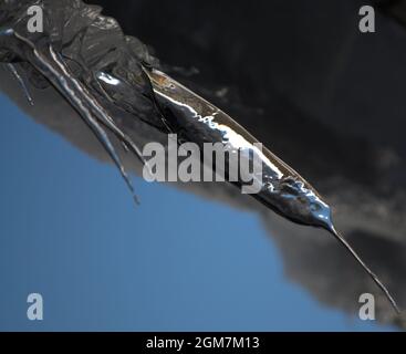 Ickle Eiszapfen schmelzen tropfend Tropfen Winterschnee Stockfoto