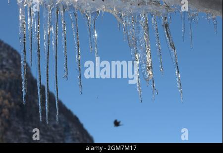 Ickle Eiszapfen schmelzen tropfend Tropfen Winterschnee Stockfoto